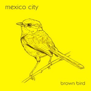 Brown Bird