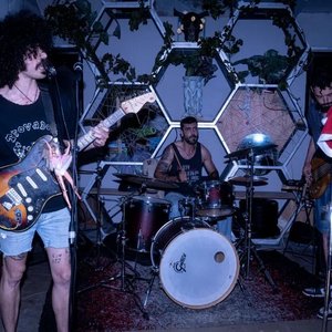 Trovador Eléctrico 的头像