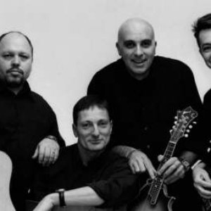 Mideando String Quartet 的头像
