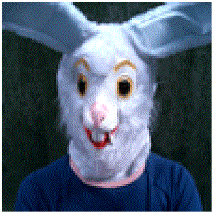 Avatar for Clever Bunny
