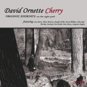 Organic Journey: On The Right Path