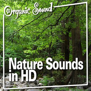 Nature Sounds in HD (Nature Sound)