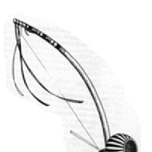 Avatar for Cantigas de Capoeira