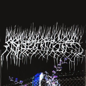 Unbirth Redeath 的头像