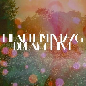 Dream Hive - Single
