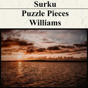 Puzzle Pieces / Williams