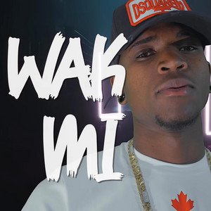 Wak Mi [Explicit]