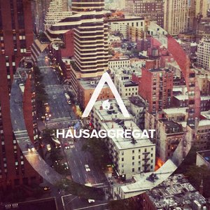 Hausaggregat 的头像