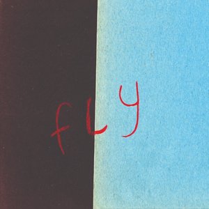 Fly