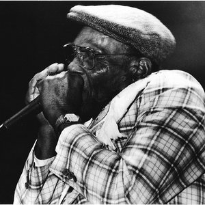 “Harmonica Slim & Hosea Leavy”的封面