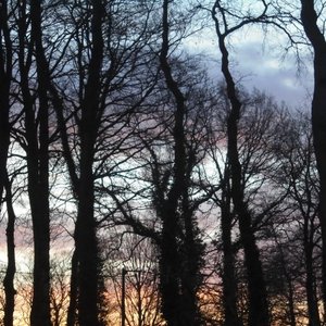 Last Kiss at Dawn