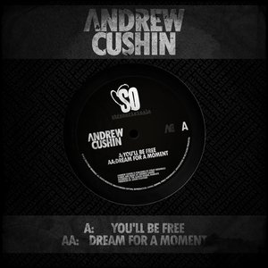 You'll Be Free / Dream for a Moment - Single