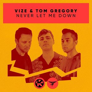 Avatar for VIZE & Tom Gregory
