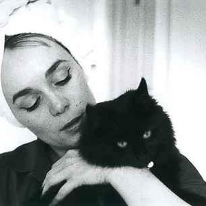 The Gentle Waves photo provided by Last.fm