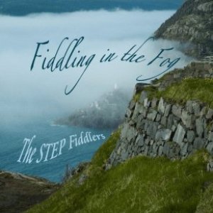 “Fiddling in the Fog”的封面