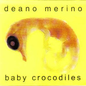 Baby Crocodiles