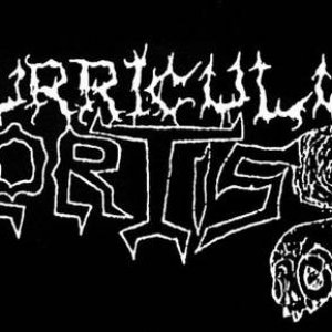 Curriculum Mortis 的头像