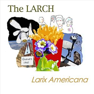 Larix Americana