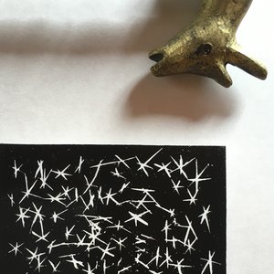 暗闇の向こうで、きっと何かが鳴いている