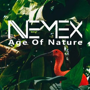 Nemex 的头像