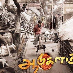 Aadukalam 的头像