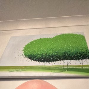 Джанки Джин 的头像