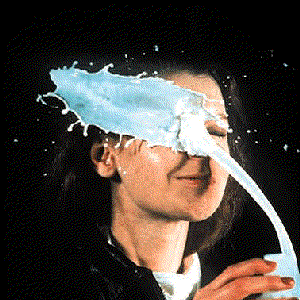 The Flying Lizards photo provided by Last.fm