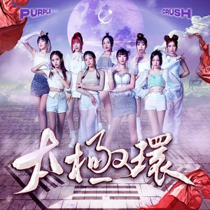 太極環