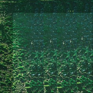 Træ - Single