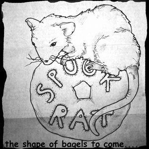 Image for 'Spook Rat'