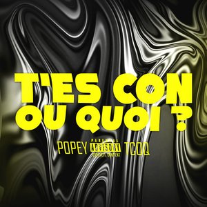 T'es con ou quoi ?