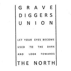 Let Your Eyes Become Used to the Dark and Look Towards the North