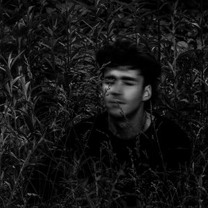 Lost Foxes 的头像