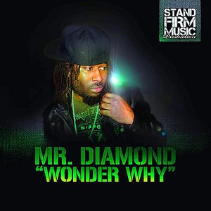 Wonder Why - Single