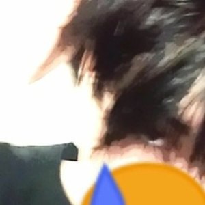 uglysofi 的头像