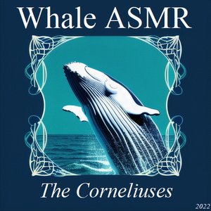 Whale ASMR