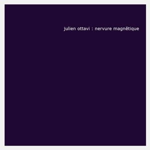 Nervure magnétique