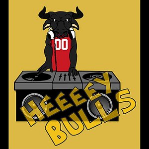 Heeeey Bulls