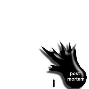 Post Mortem [part I]