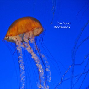 Medusazoa