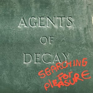 Searching For Pleasure