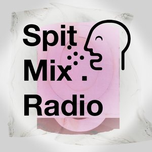 Avatar for SPIT MIX