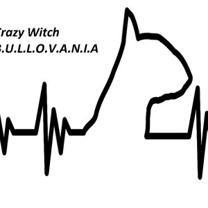 B.U.L.L.O.V.A.N.I.A