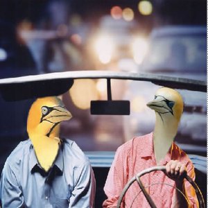 Avatar for They Might Be Gannets