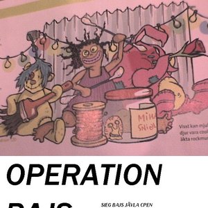 Image for 'Operation Bajs'