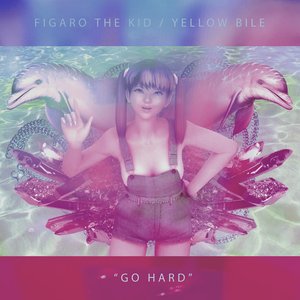 Image for 'Go Hard'