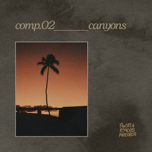 “comp.02_canyons”的封面