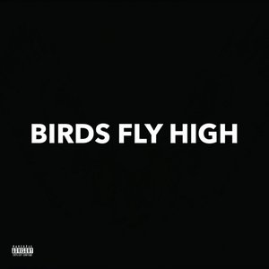 Birds Fly High