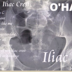 Iliac Crest