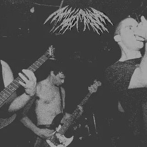 Avatar for Innumerable Forms